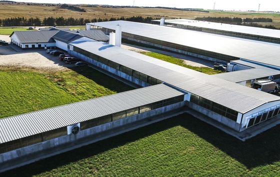 Сэндвич-панель с металлической изготовкой из Q235B/Q345B низкоуглеродистой стали