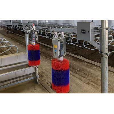 Окно из алюминиевого сплава и Q345 Prefab Steel Cow Farm Building для молочного коровьего дома