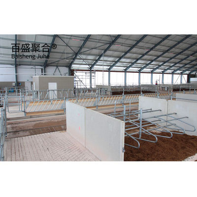 Окно из алюминиевого сплава и Q345 Prefab Steel Cow Farm Building для молочного коровьего дома