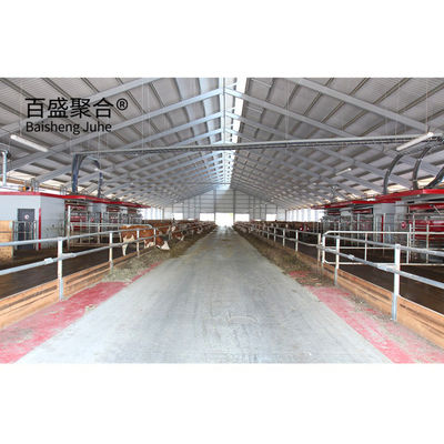 Окно из алюминиевого сплава и Q345 Prefab Steel Cow Farm Building для молочного коровьего дома