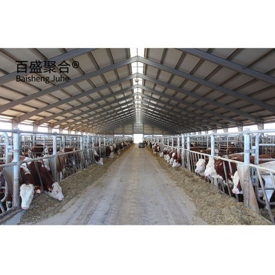 Окно из алюминиевого сплава и Q345 Prefab Steel Cow Farm Building для молочного коровьего дома