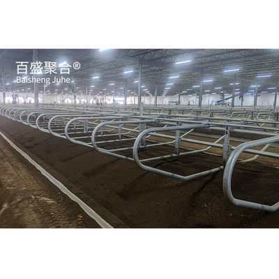 Affordable Sliding Door Steel Structure Cattle Barn Cowshed Farm with AutoCAD Drawing Строение из стали
