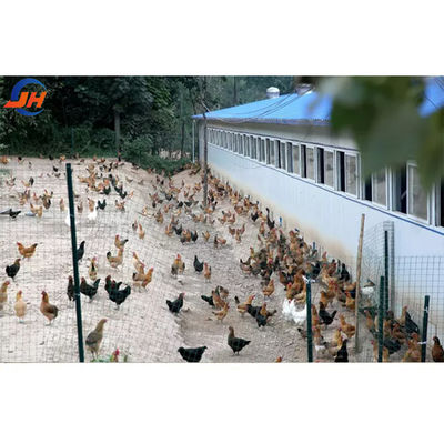 ISO9001 2008/CE/BV Сертифицированная современная птицефабрика