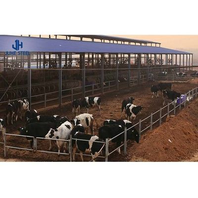 Q235B Тяжелый конструктивный стальной металлический склад с предварительной изготовлением для овец Козы Коровьи коровы