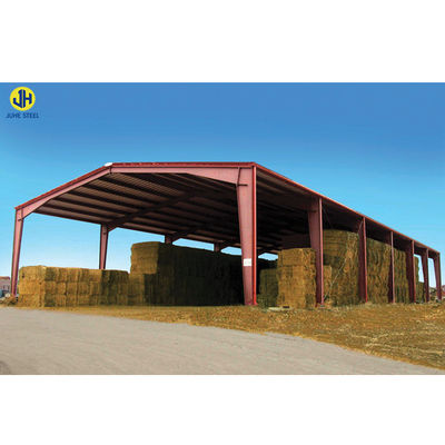 Painted Prefabricated Light Steel Frame Structure Warehouse Farm Shed for Self Storage (Окрашенный предварительно изготовленный легкий стальной каркас)