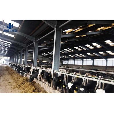 Q235/Q355B Стальная конструкция для скотоводства