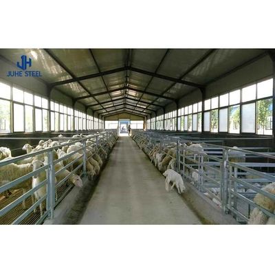 Q235/Q355B Стальная конструкция для скотоводства